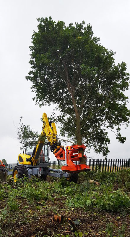 Ground Control machinery at work cutting down a mature tree