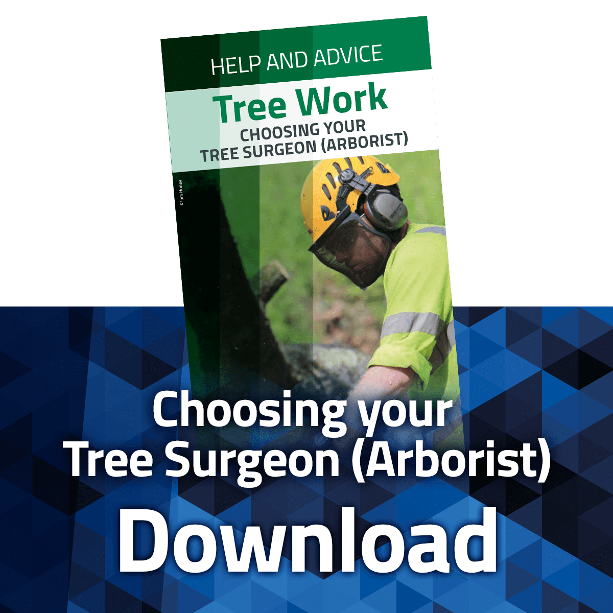 Download the Choosing Your Arborist Leaflet