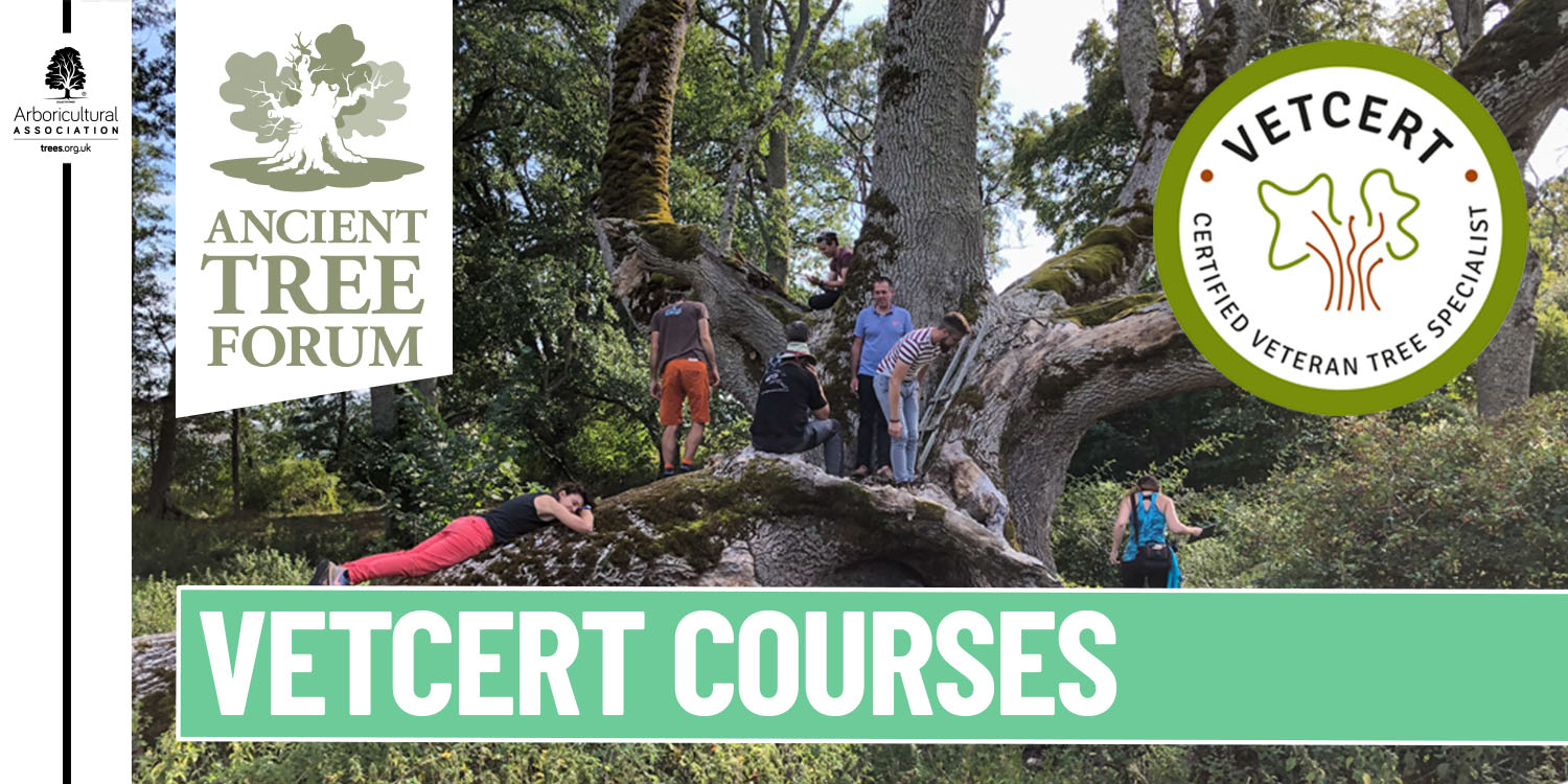 Ancient Tree Forum courses