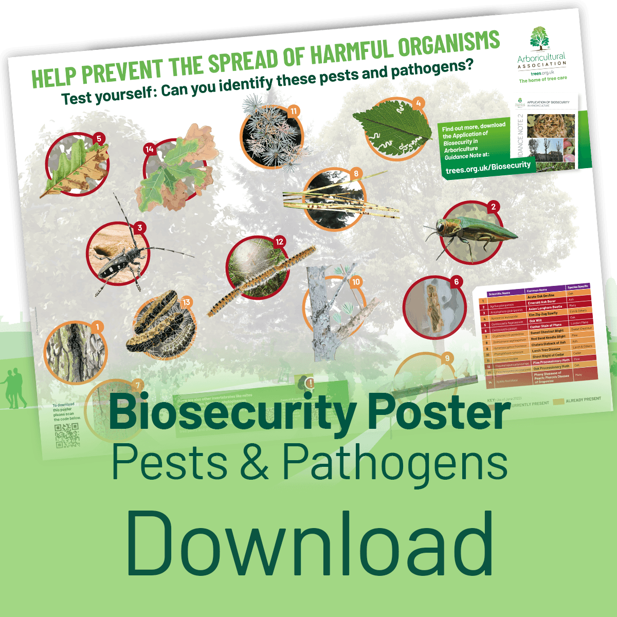Download the Pests and Pathogens Poster