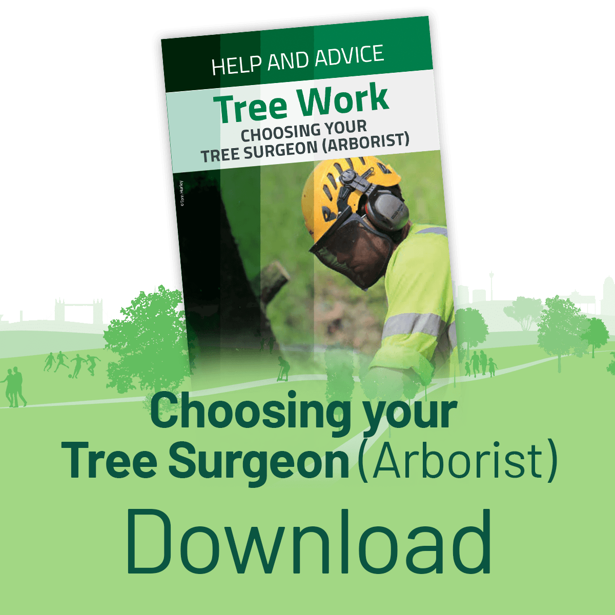 Download the Choosing Your Arborist Leaflet