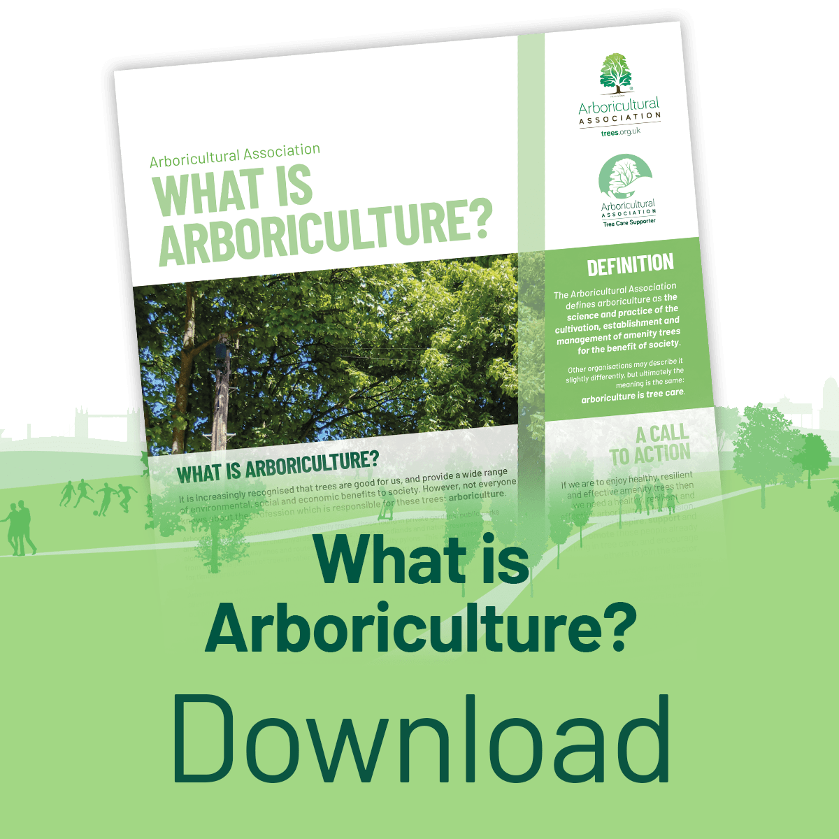 Download the Waht is Arboriculture? leaflet
