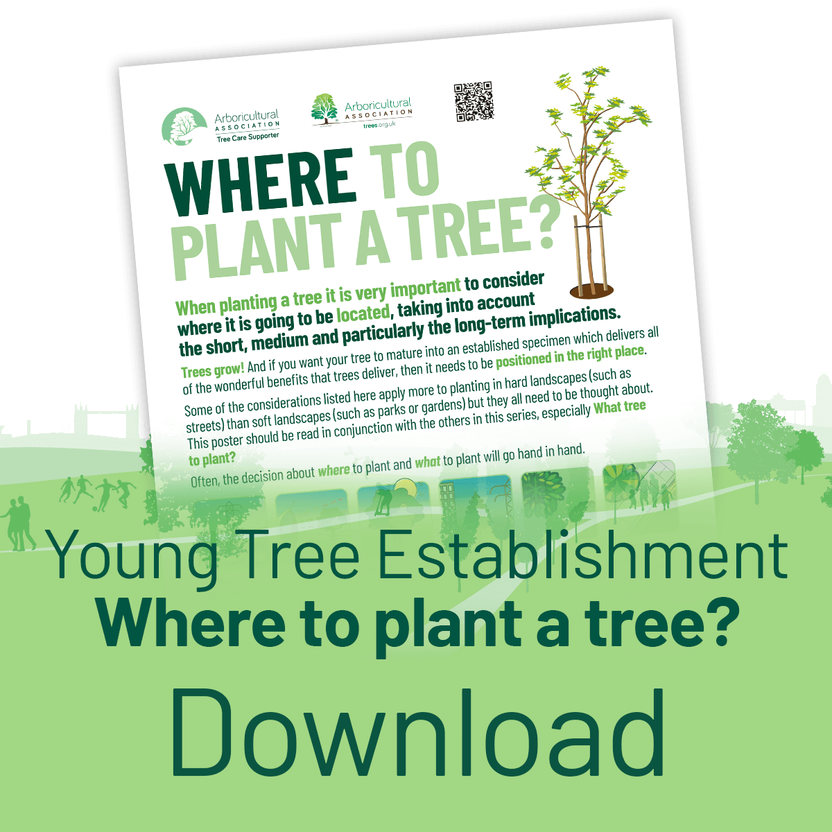 Download the Young Tree Establishment Where to Plant a Tree? Poster