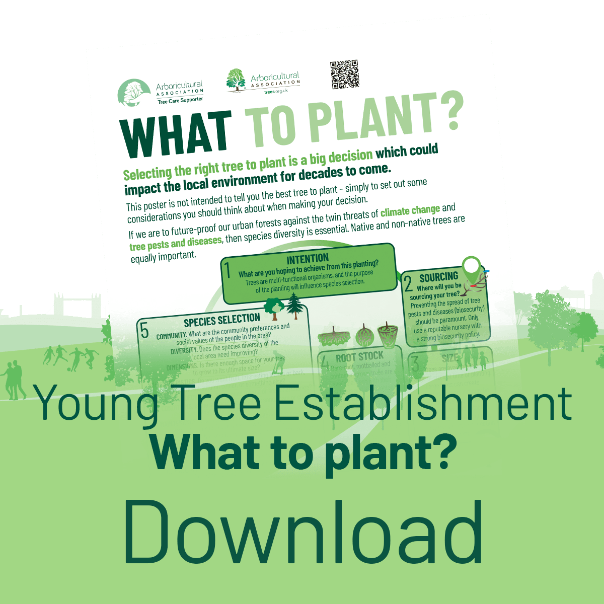 Download the Young Tree Establishment What to Plant? Poster