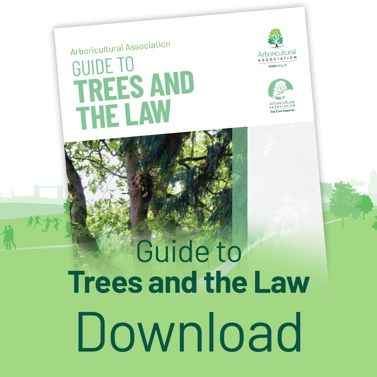 Download the Guide to Trees and the Law Leaflet
