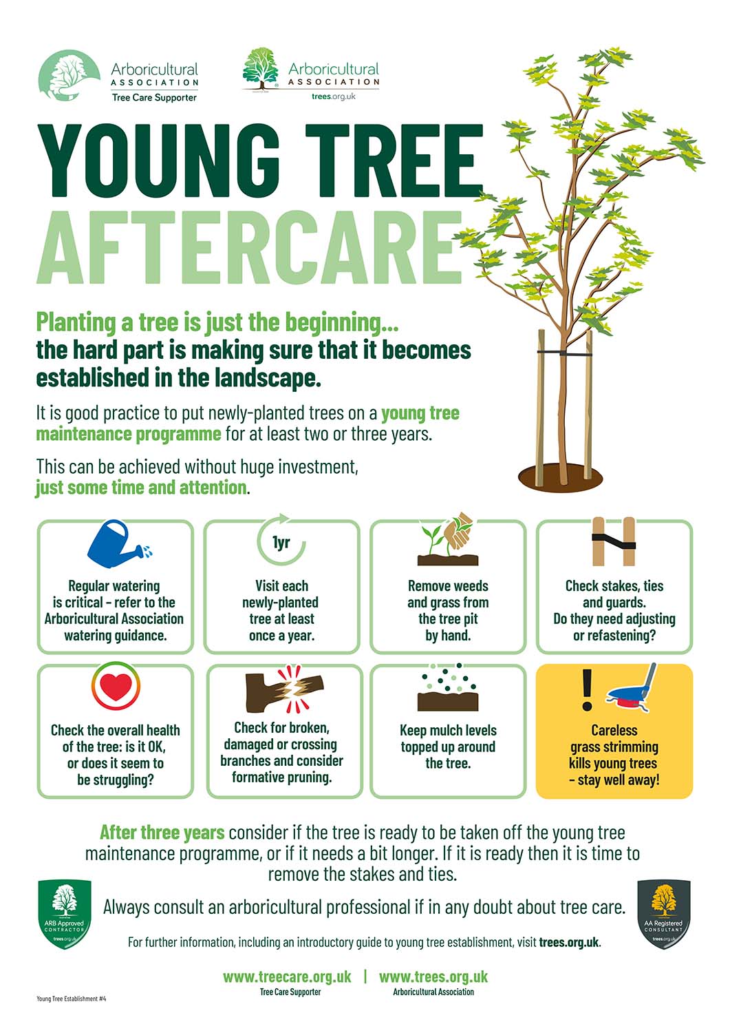 Young Tree Establishment Series No.4 Young Tree Aftercare