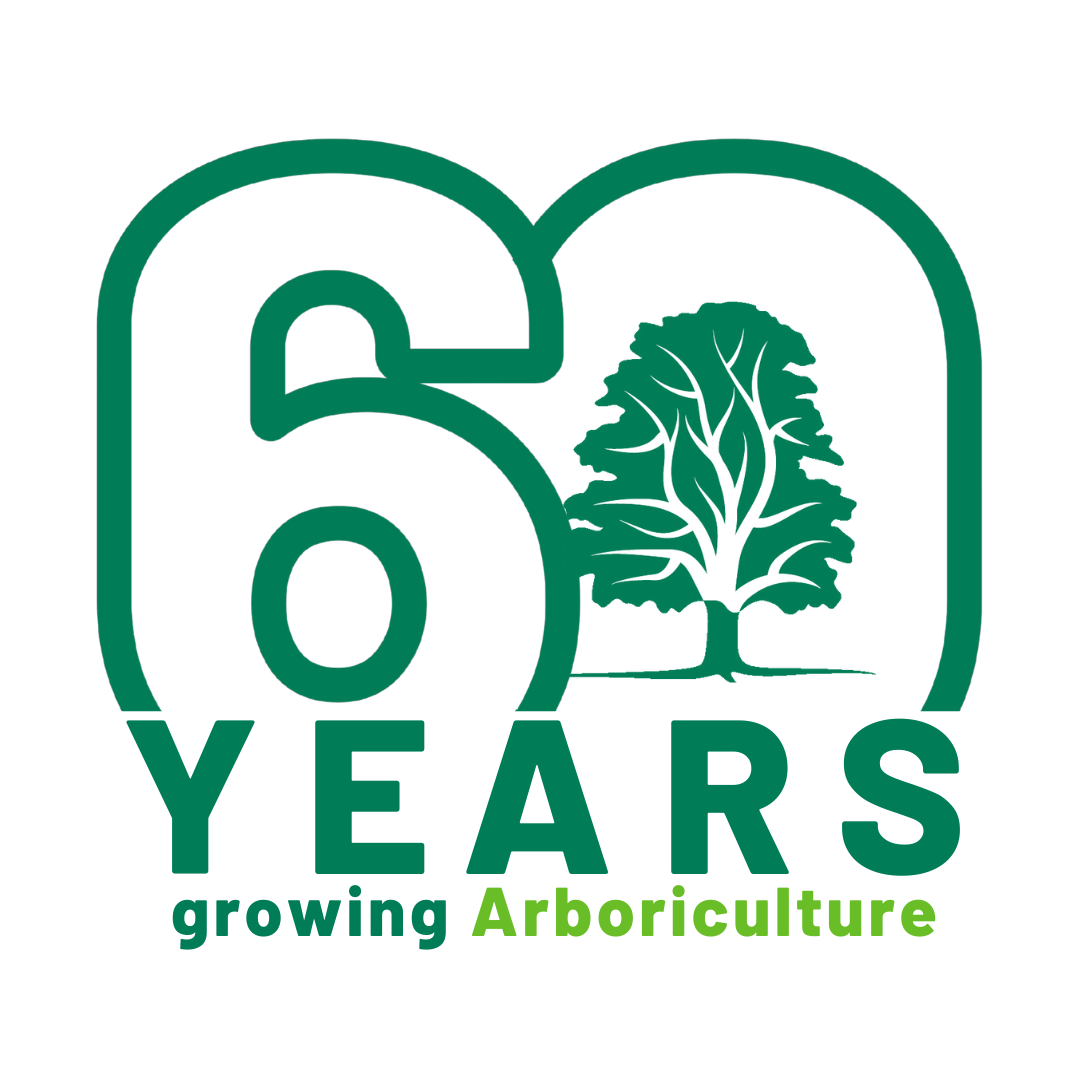 Arboricultural Association - Arboricultural Associations: Trees in the ...