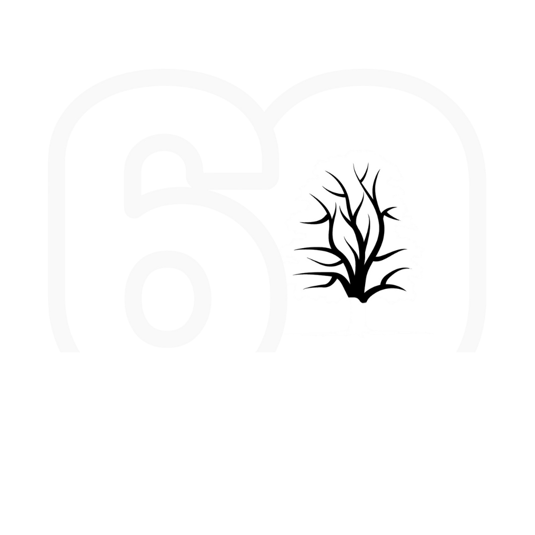 The Arboricultural Association celebrating 60 years