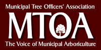 Municipal Tree Officers Association logo