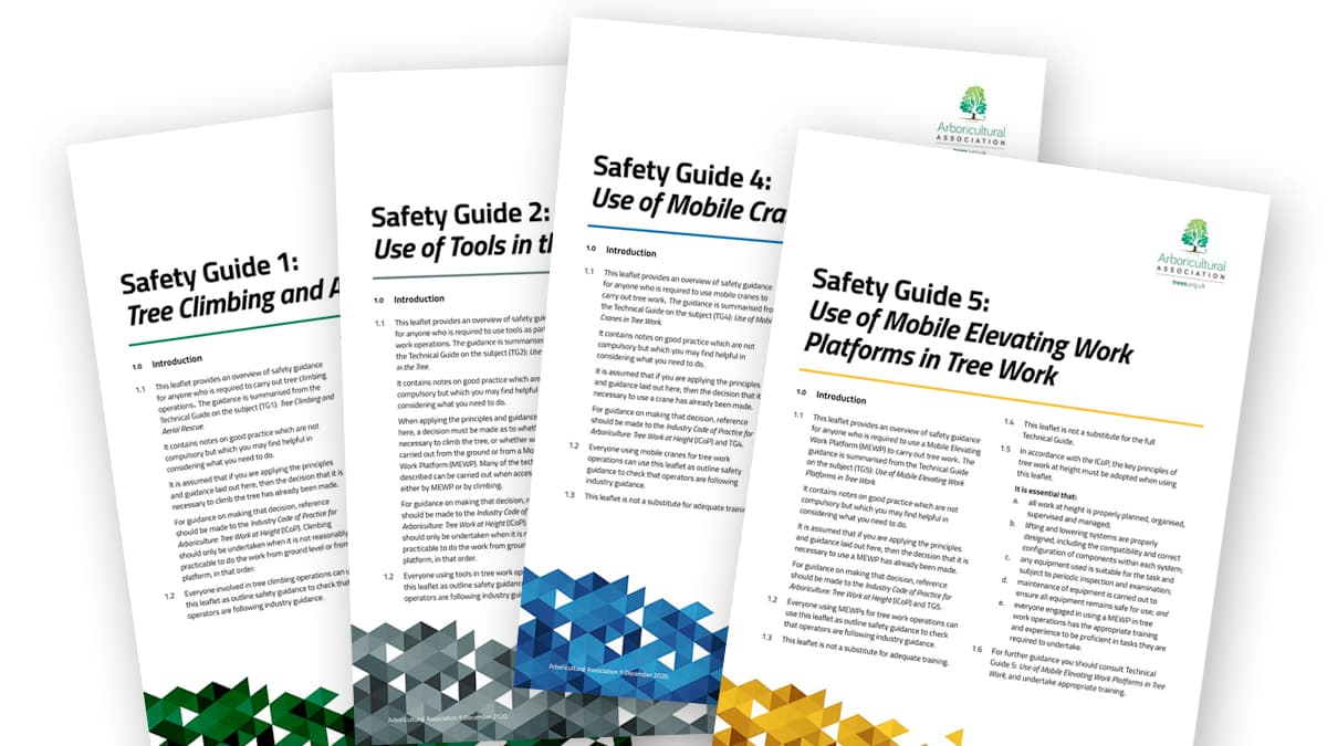 The new Safety Guides