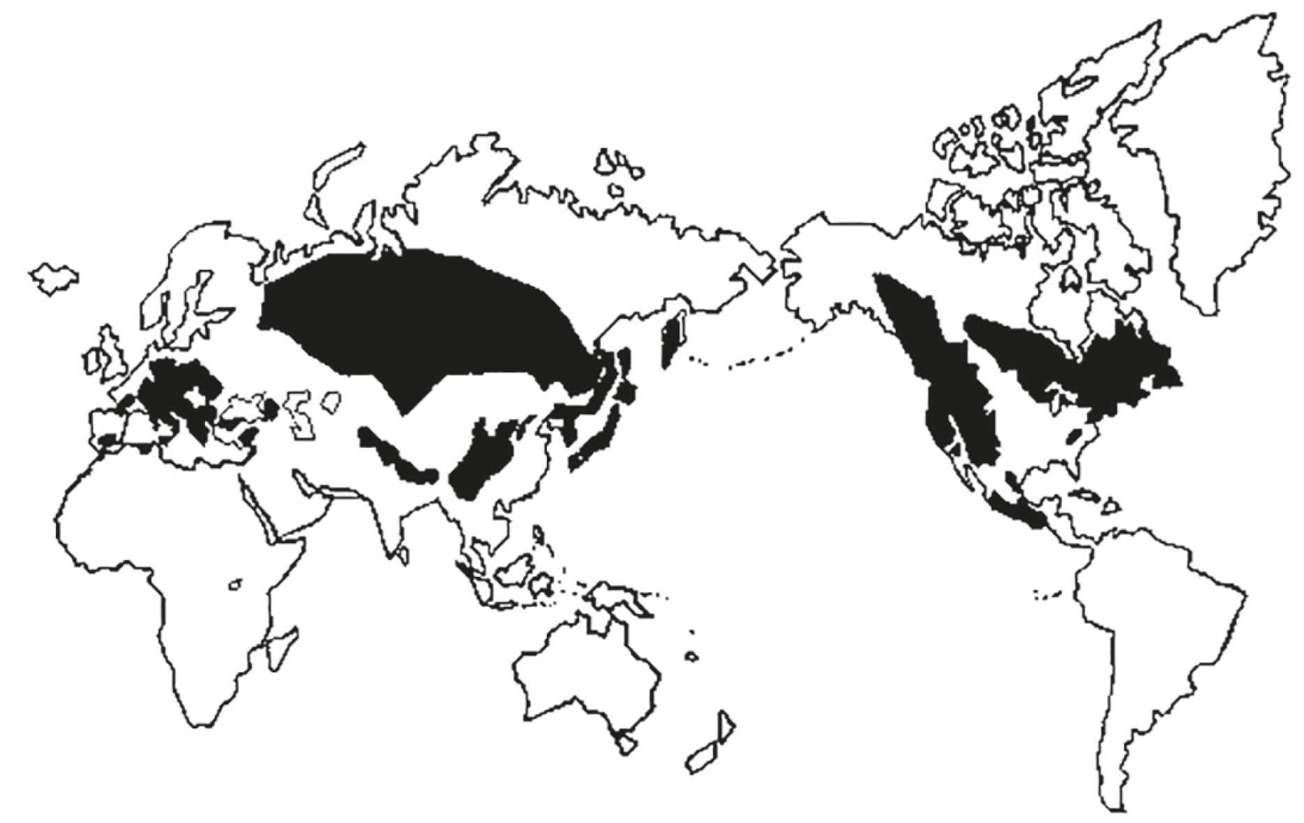 Range of Abies (after Farjon, 1990).