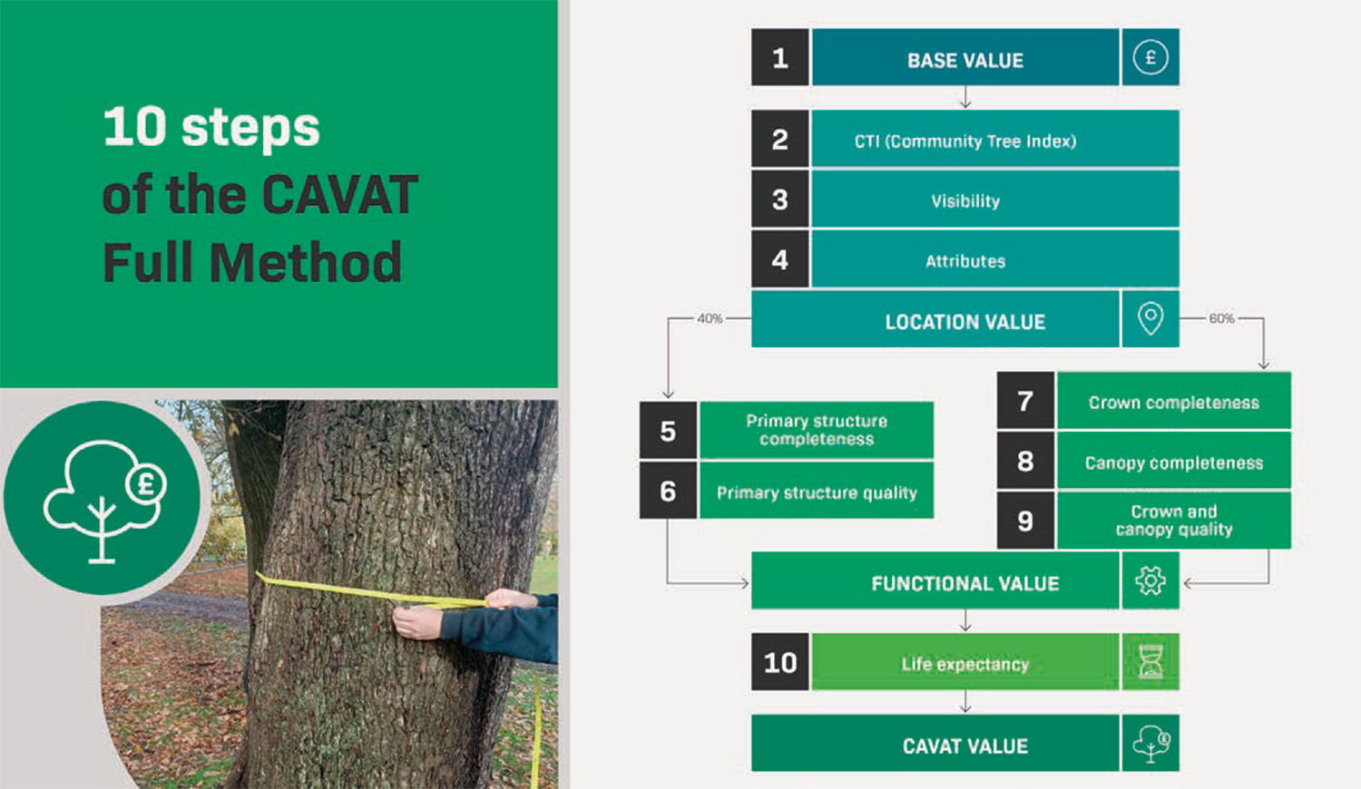 CAVAT Full Method’s 10 steps