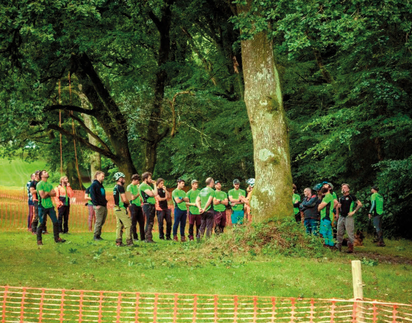 Participants at the All Ireland Tree Climbing Competition