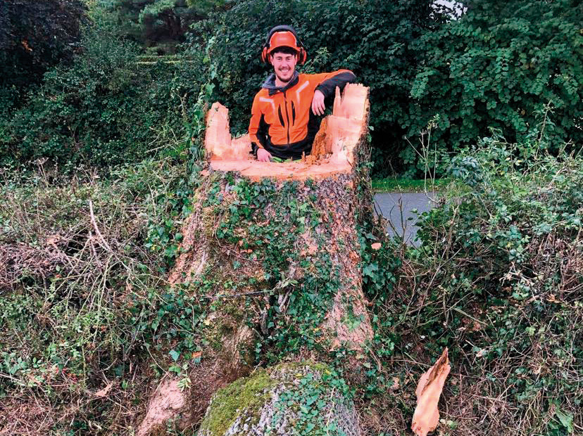 Charlie Agg, a qualified apprentice working as a climber at Ian Alcock Tree Services.