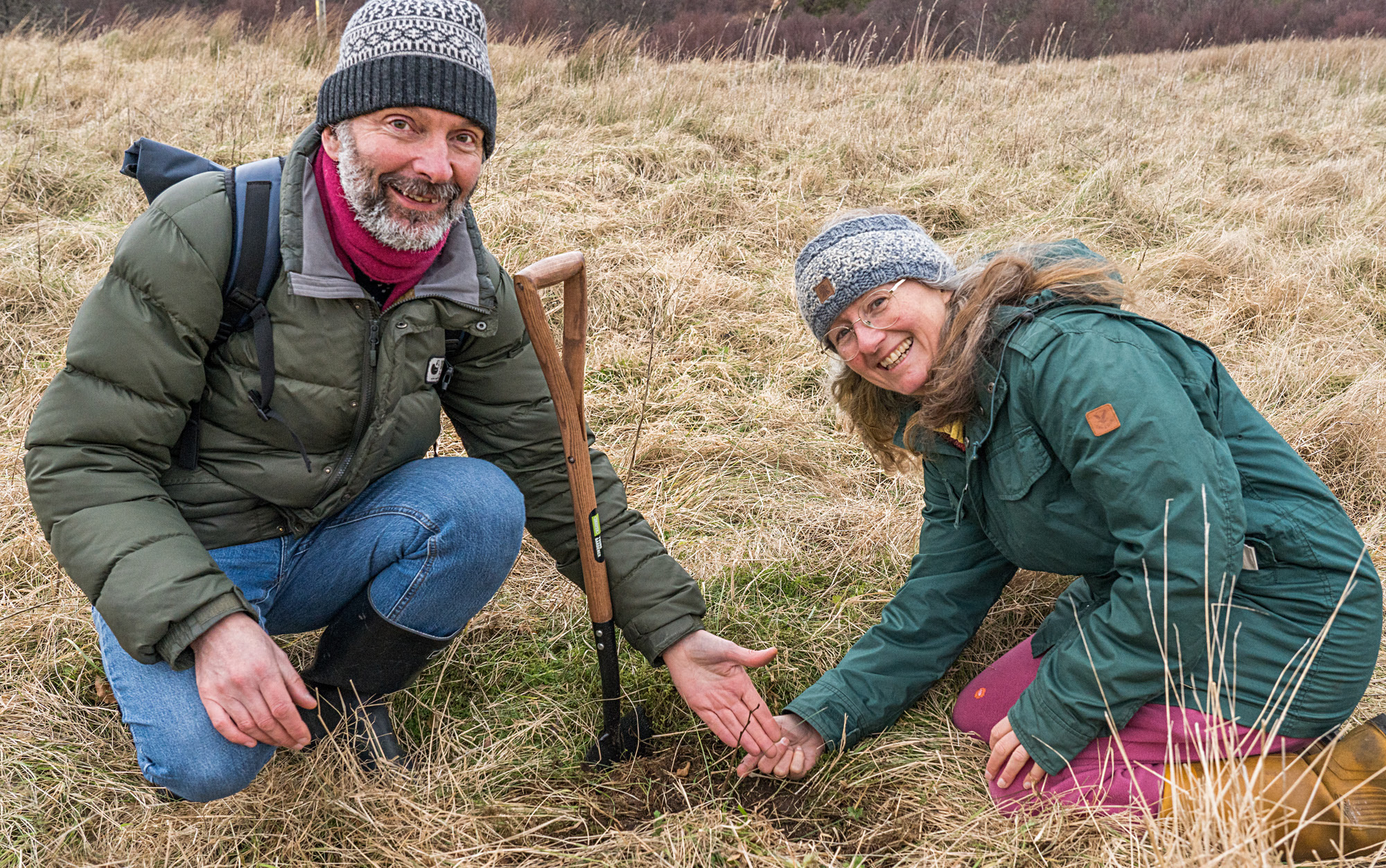 Arboricultural Association - Elm hope