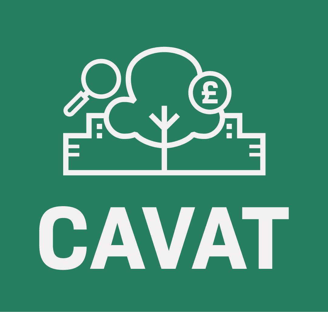 CAVAT logo