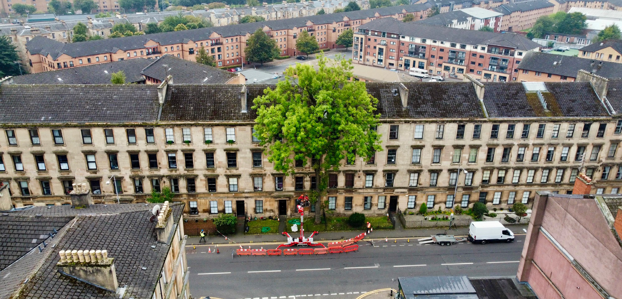 The Argyle street ash.