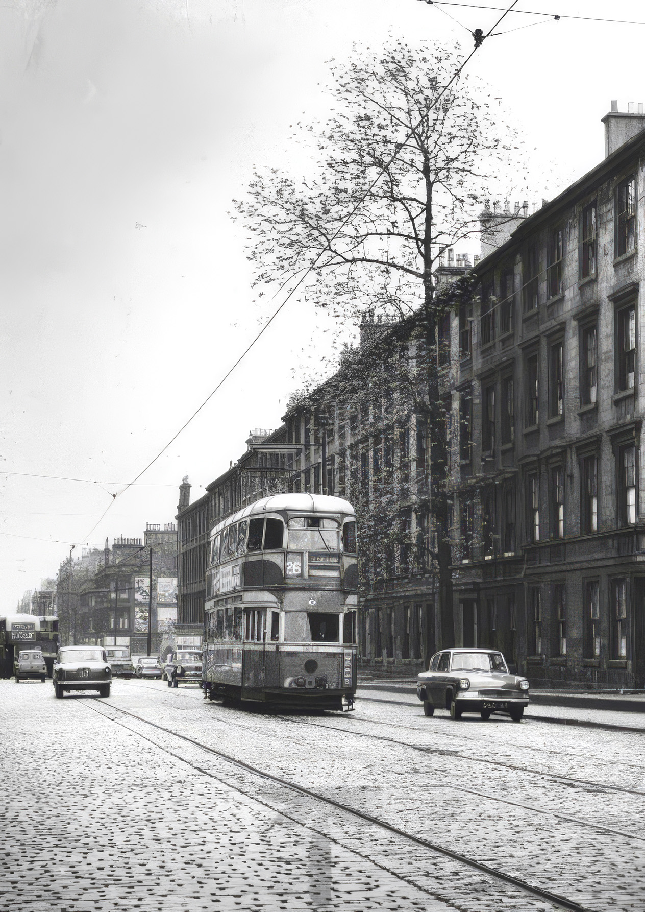 A quirk of history: the aerial tram cables that ran beside the tree from 1897 to 1962 prevented its removal.