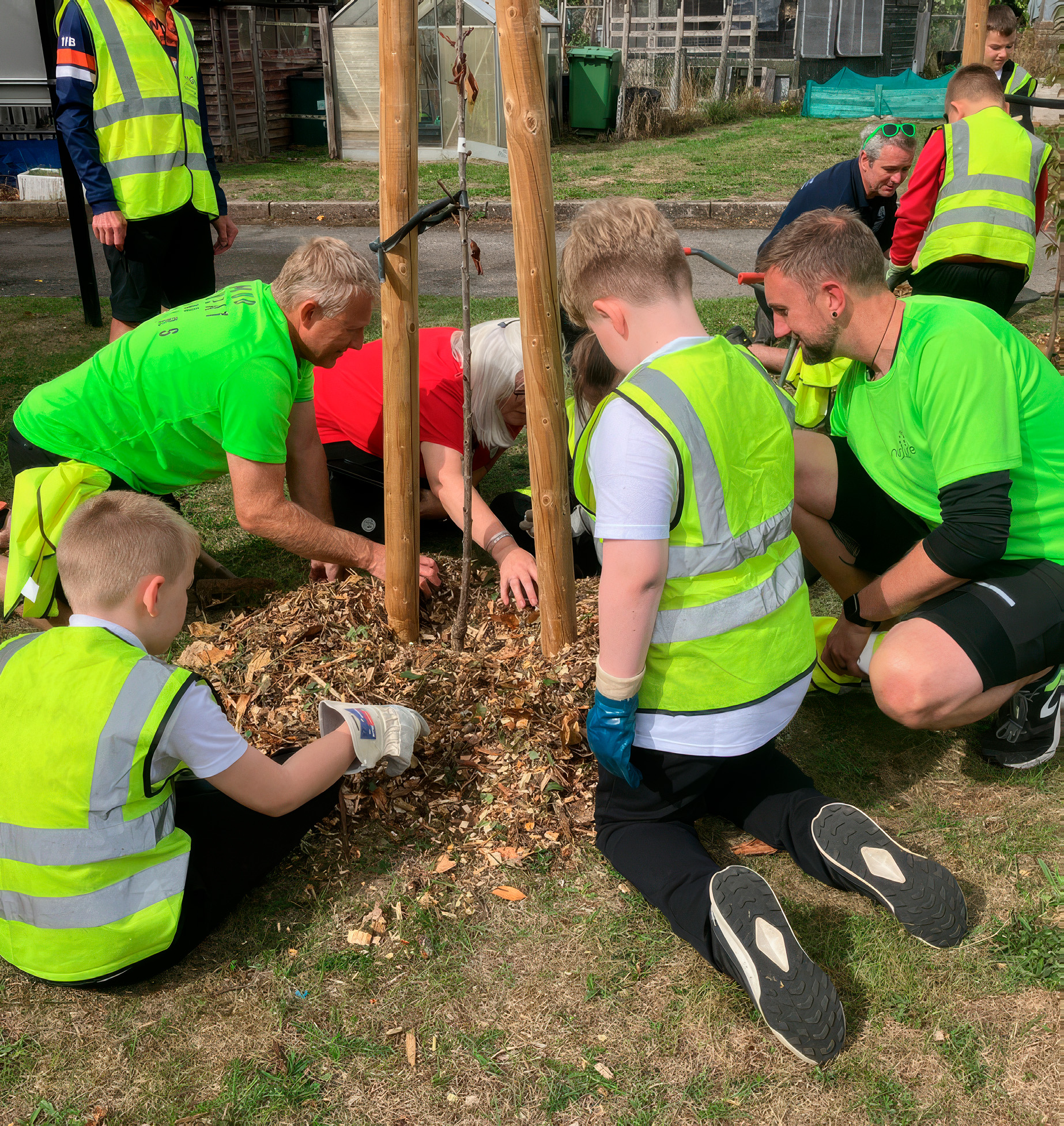 Pitching in to mulch trees newly planted trees in Birmingham.