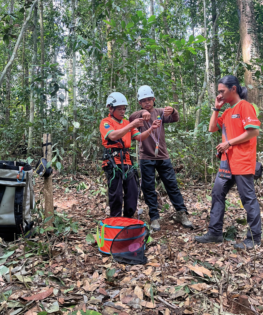 Trainees teaching each other.