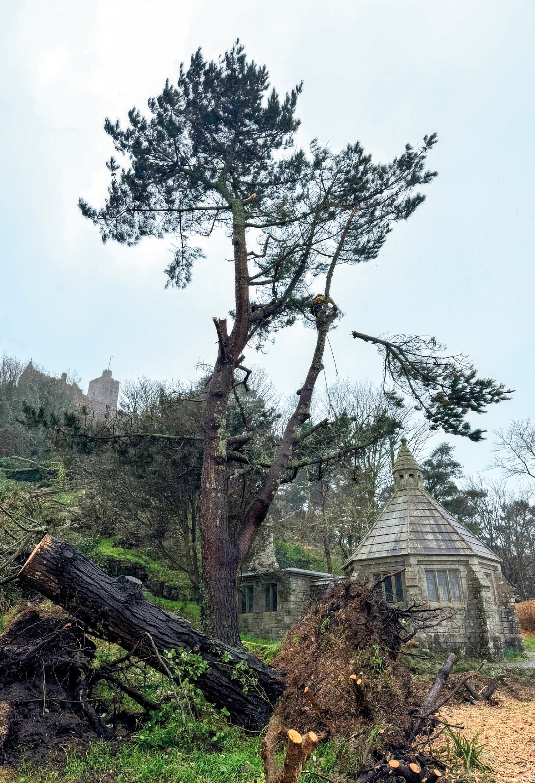 Working on St Michael’s Mount.