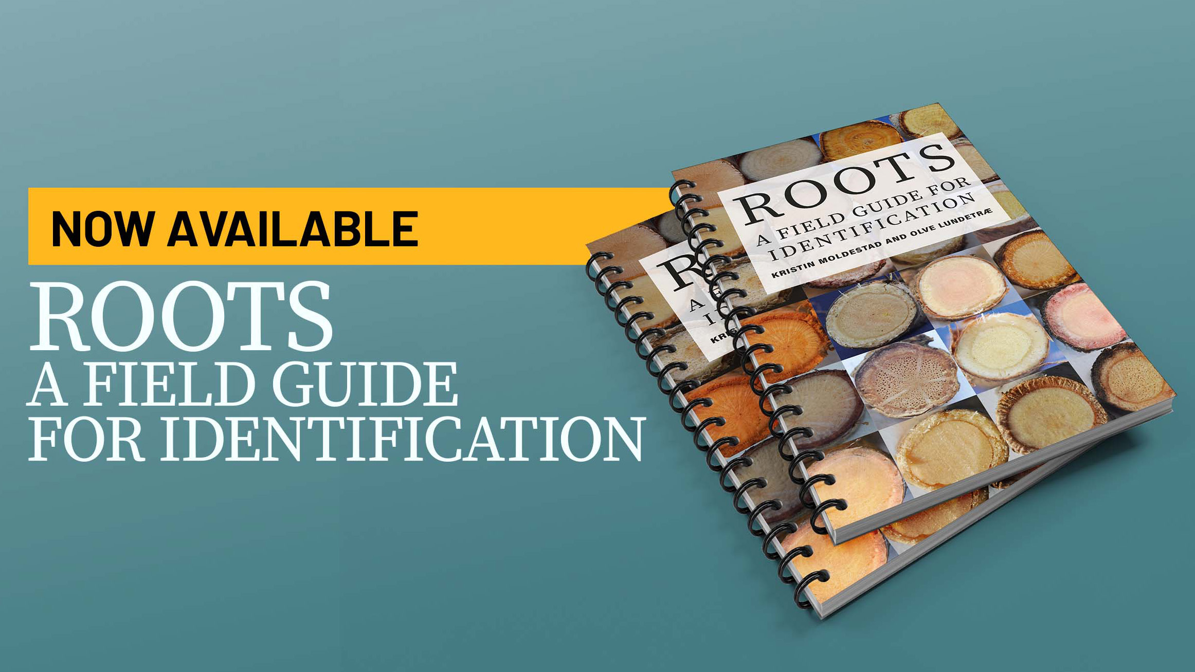 Roots - A Field Guide for Identification