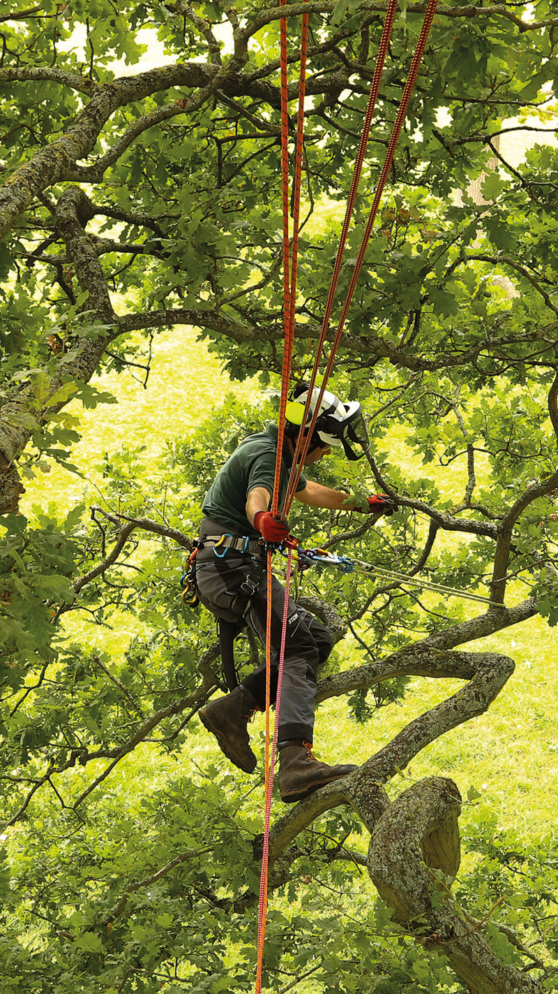 Good Climbing Practice