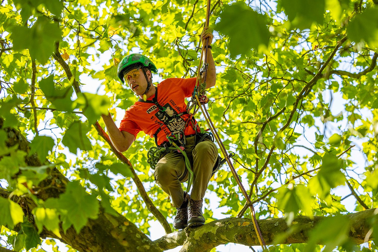 Previous UK&I TCC competitors