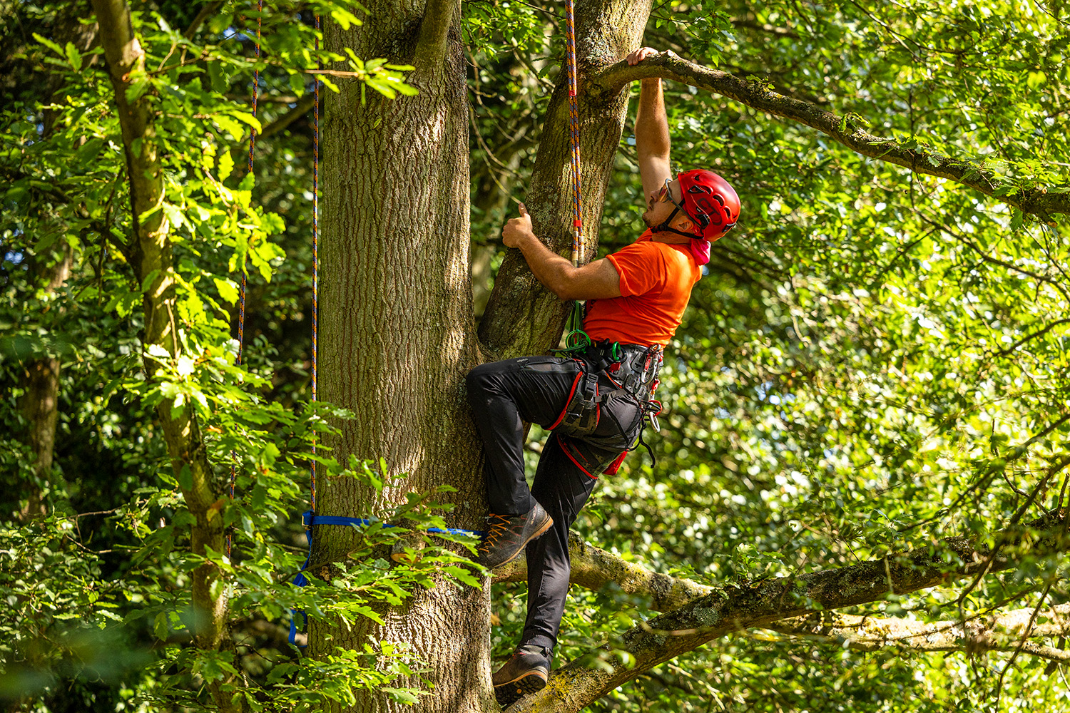 Previous UK&I TCC competitors