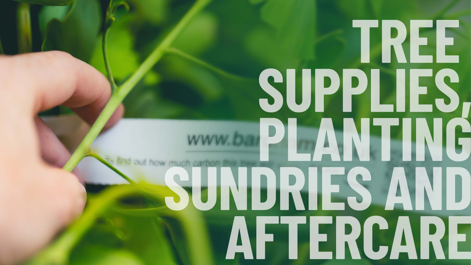 Tree Supplies, Planting Sundries and Aftercare