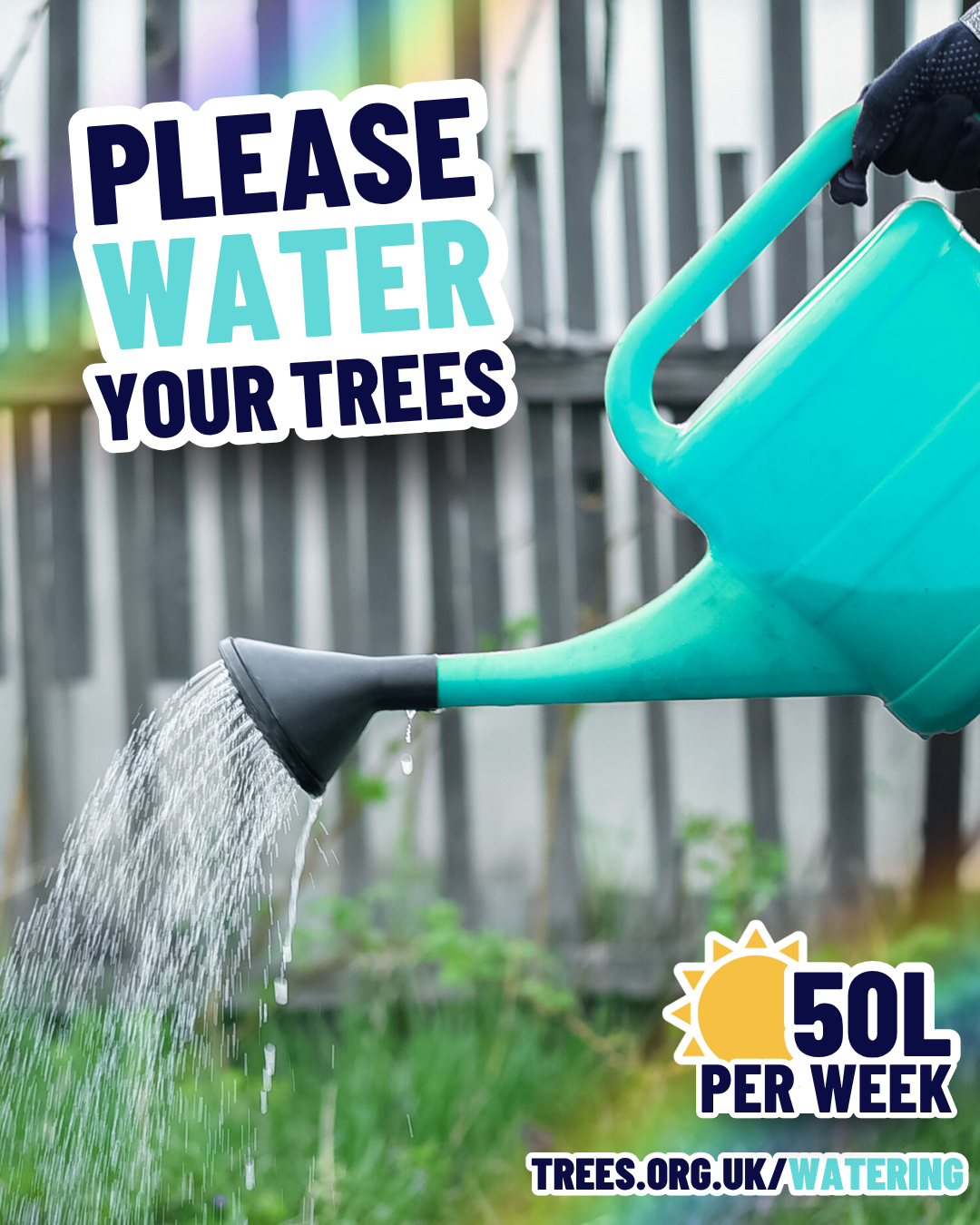Watering Socials Option 2