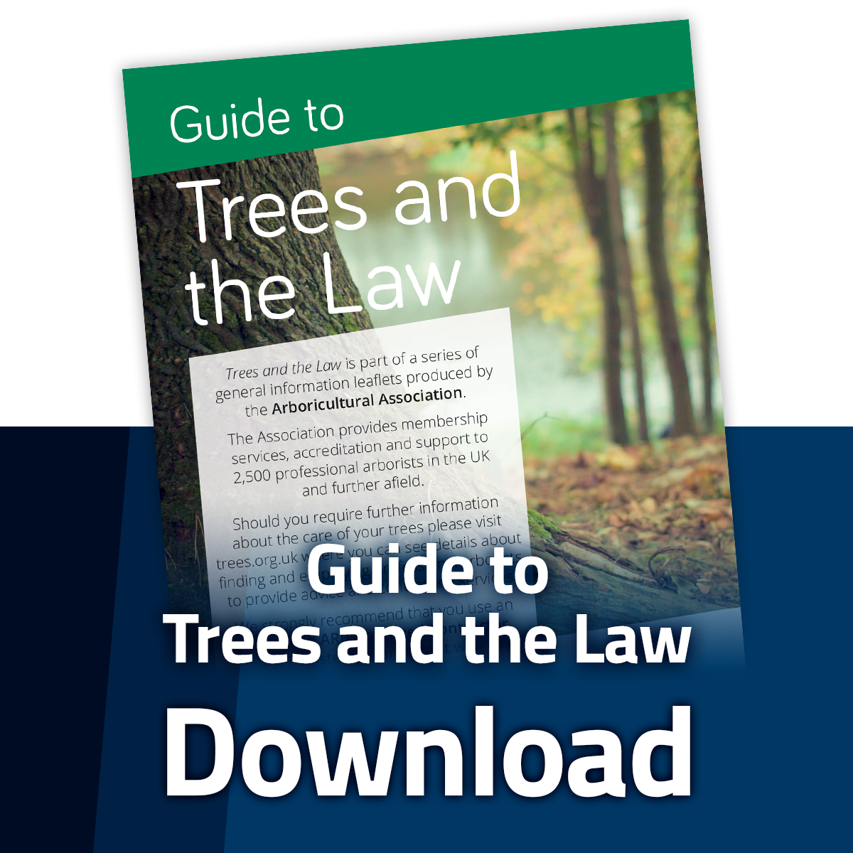 Download the Guide to Trees and the Law Leaflet