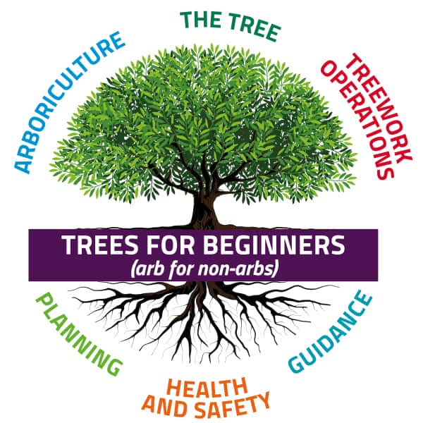 Trees for Beginners Launched