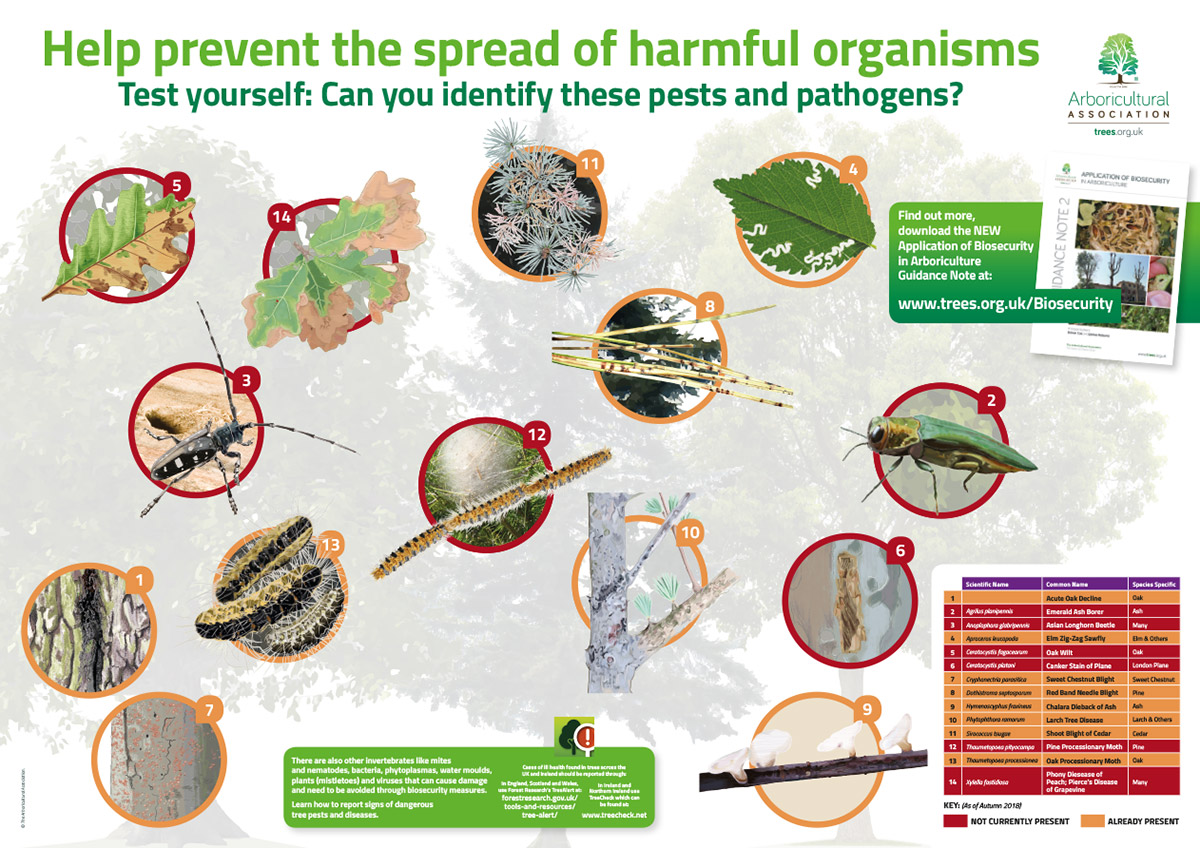 Pests and Diseases Identification Poster