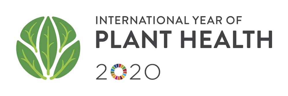  International Year of Plant Health