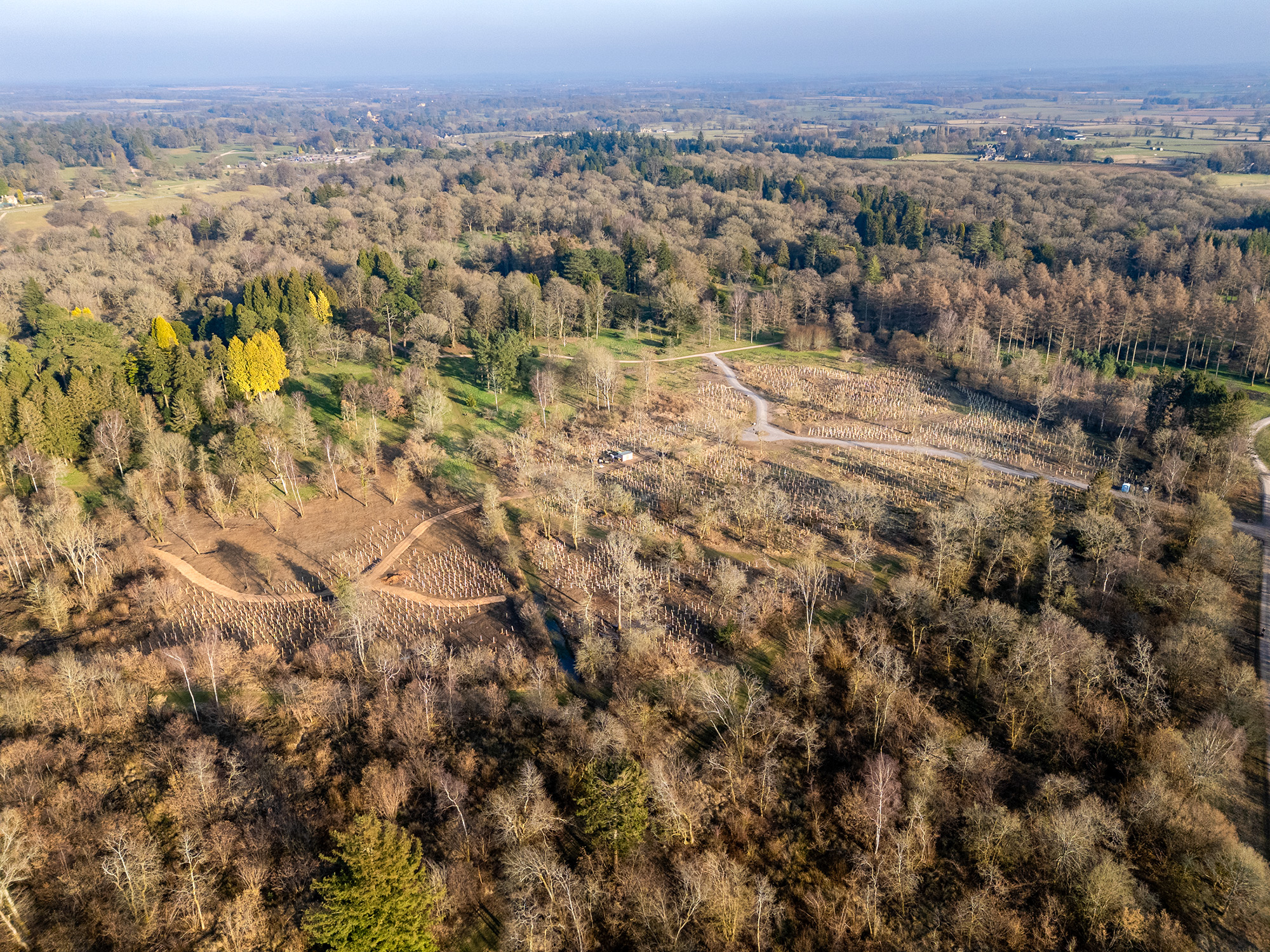 Silk Wood Community Planting Westonbirt