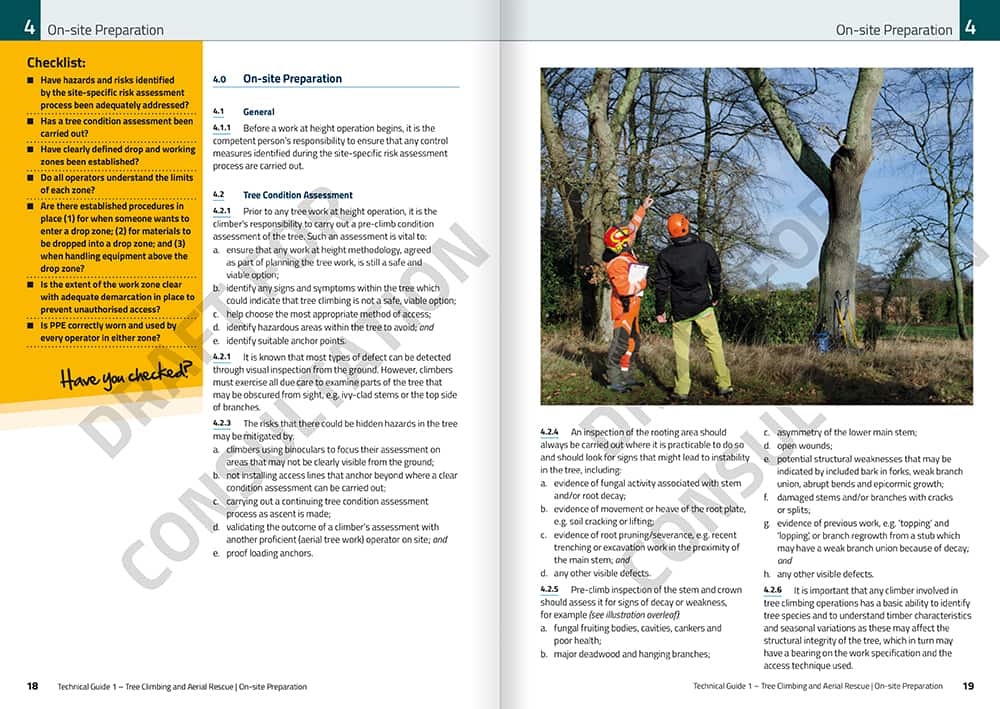 TG1: An example page spread from the industry consultation document