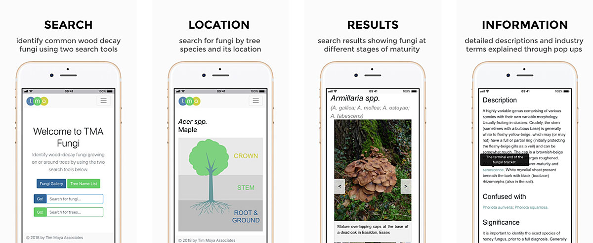 The TMA Fungi App