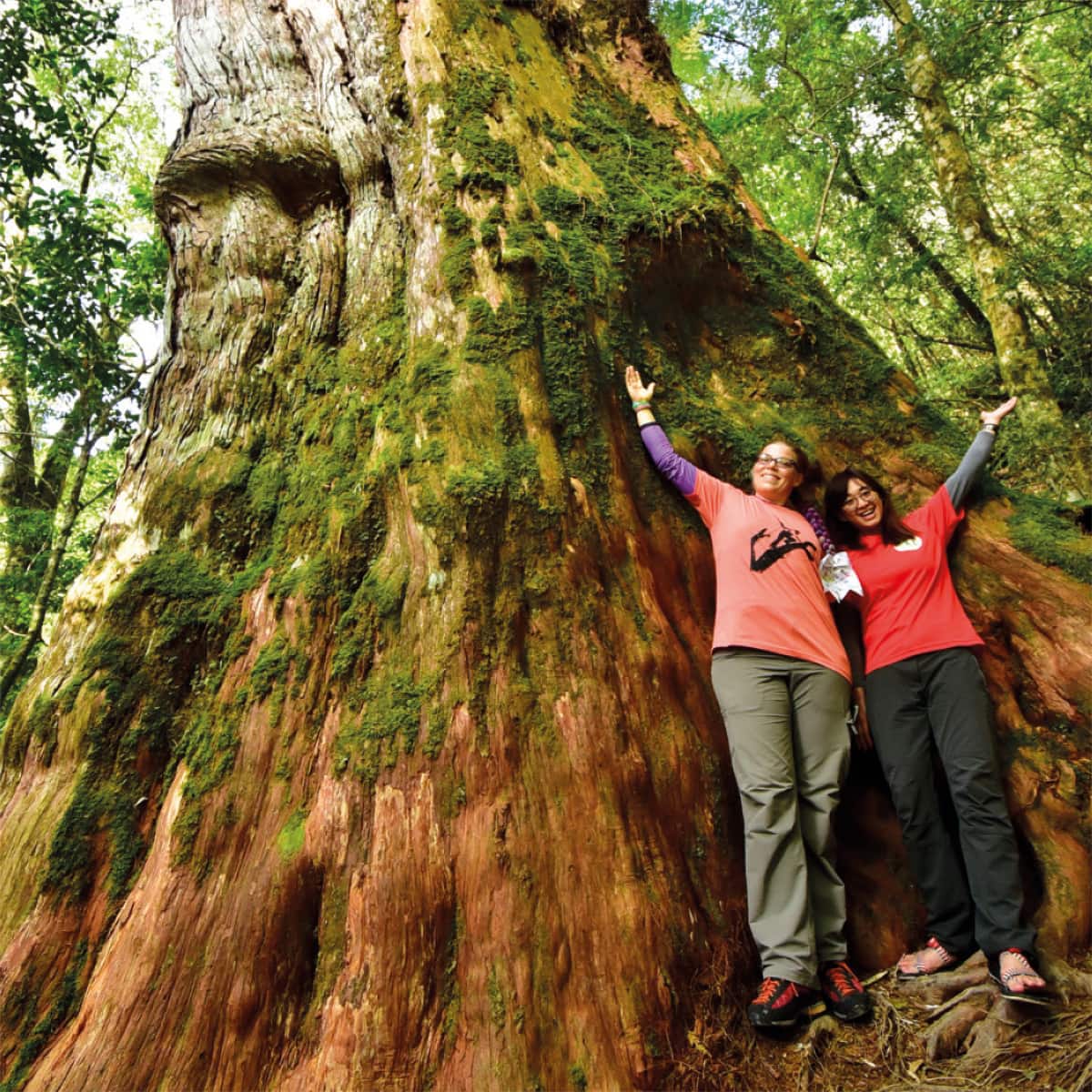 Boel and Sylvia Hsu next to one of the big ancient Formosan cypress trees in the Lalashan mountains of Taiwa
