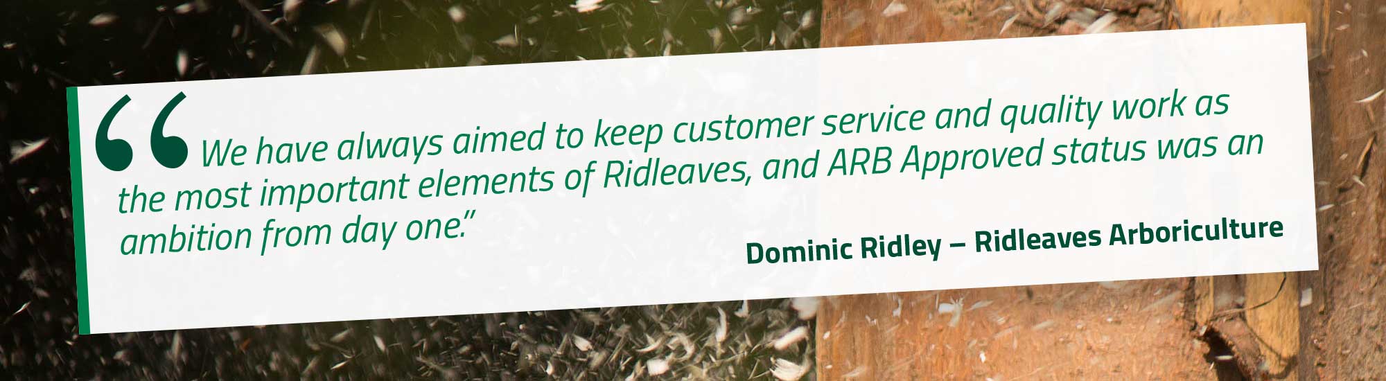 We have always aimed to keep customer service and quality work as the most important elements of Ridleaves, and ARB Approved status was an ambition from day one. Dominic Ridley – Ridleaves Arboriculture