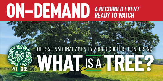 What is a tree? Conference: On-Demand