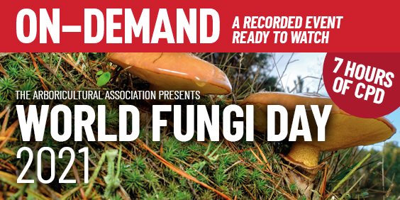 World Fungi Day 2021: On-Demand
