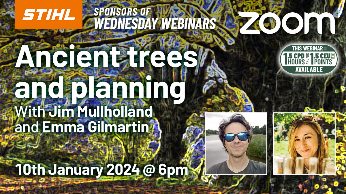 Ancient Trees and Planning