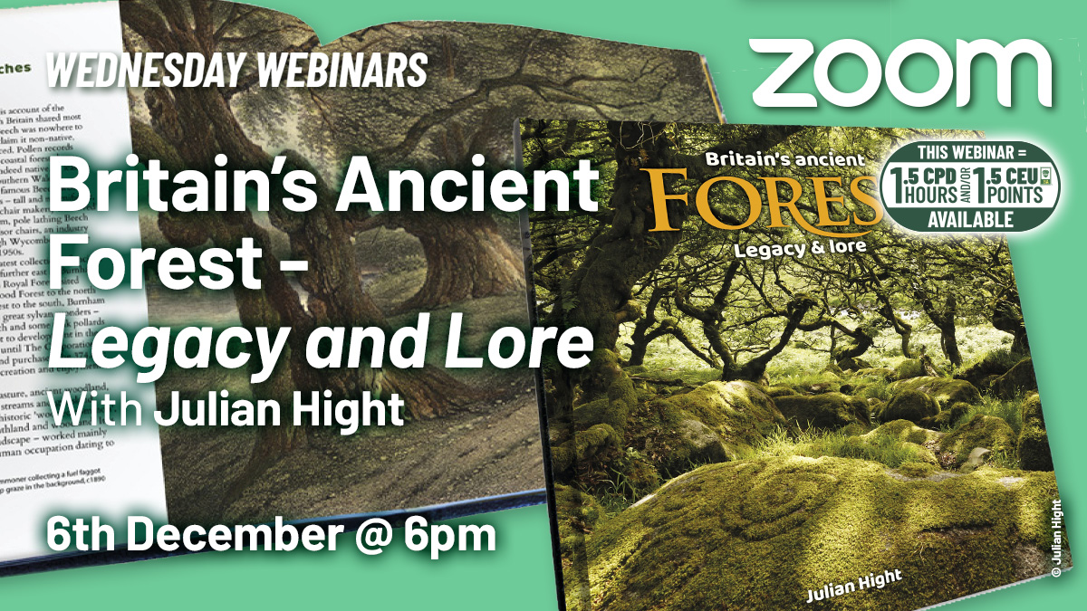 Britain’s Ancient Forest - Legacy and Lore