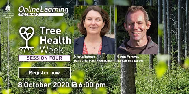 Tree Health Week – Session 4