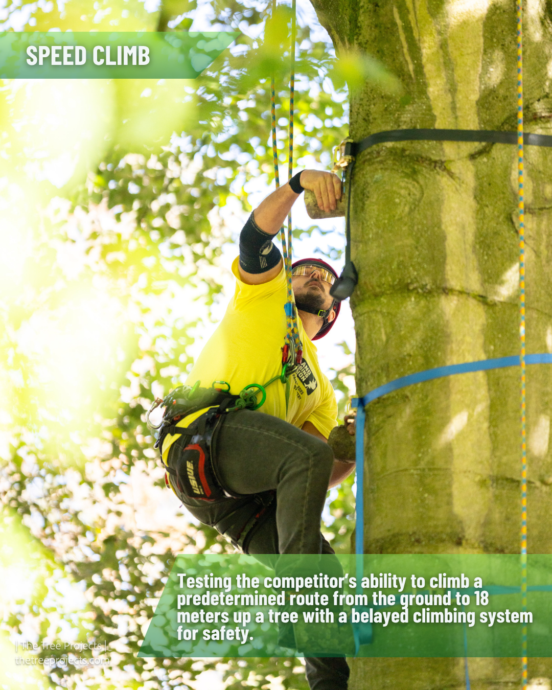 Speed Climb