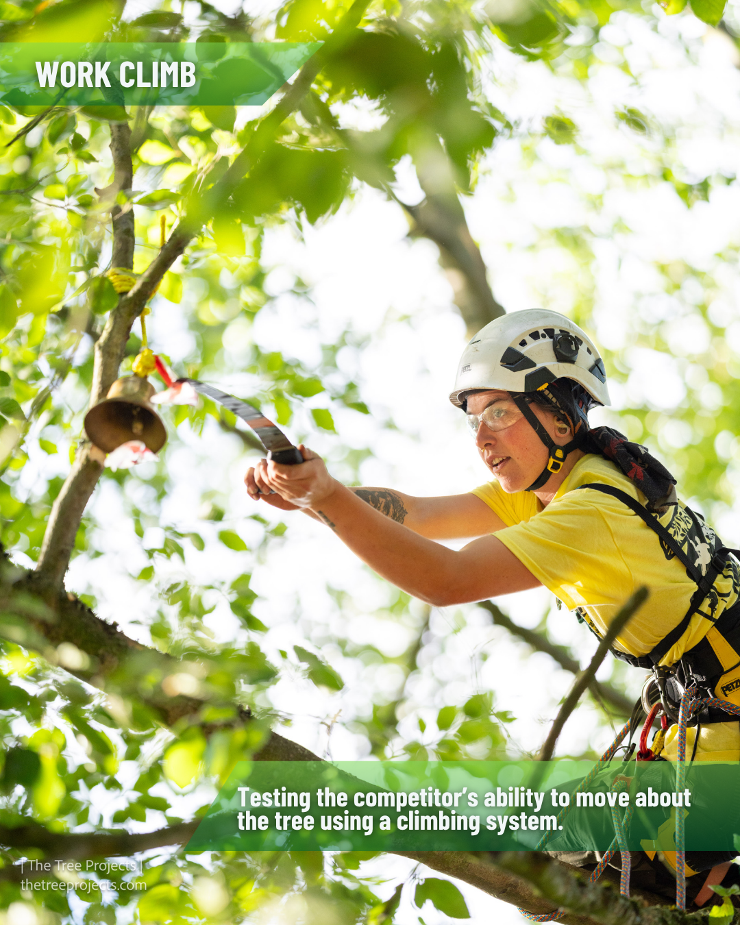 Work Climb