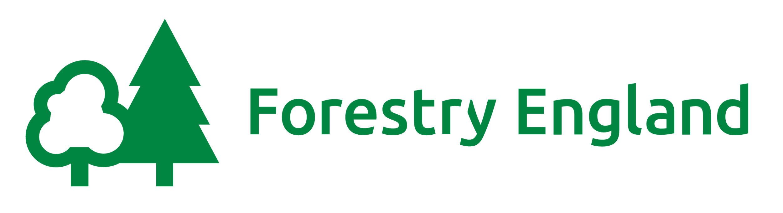 https://www.forestryengland.uk/westonbirt/trainee-arborist