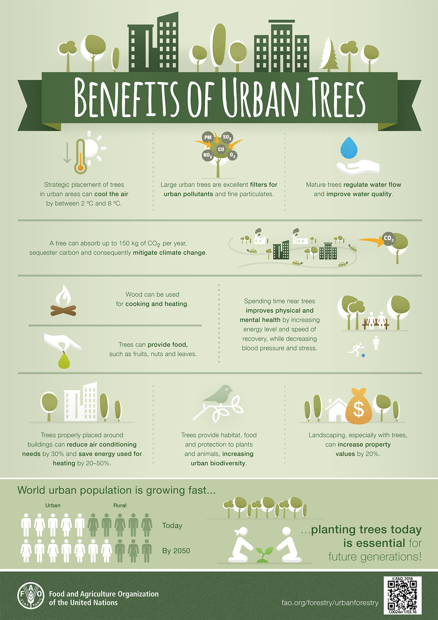 Benefits of Urban Trees