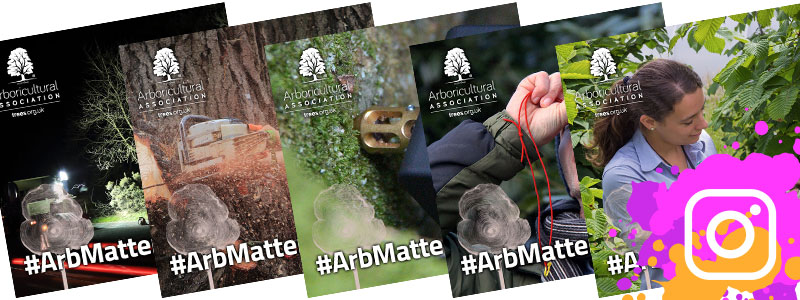 #ArbMatters Social Media Cards for Instagram